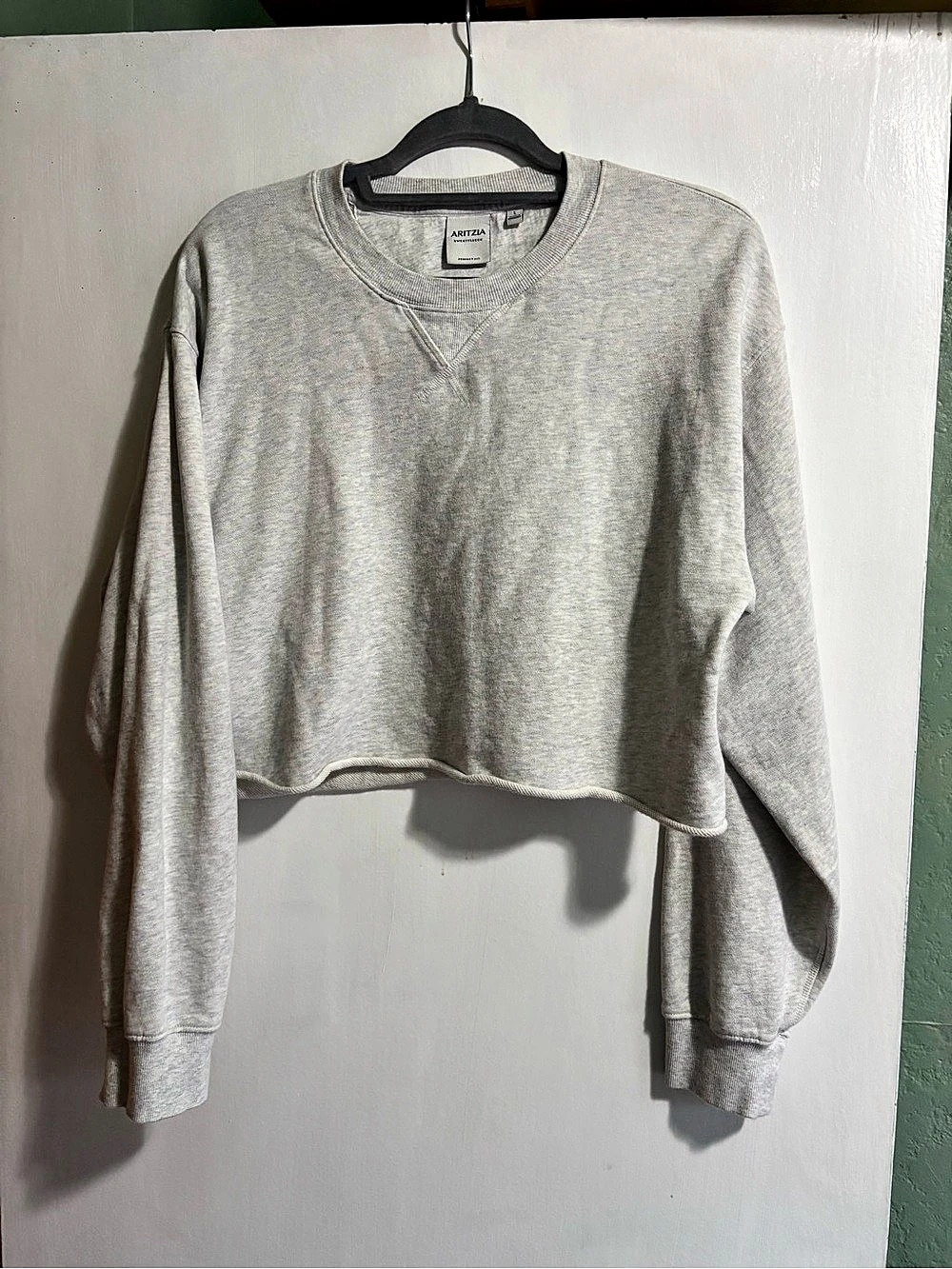 Aritzia Cozy Sweatfleece Perfect Crew Gray Cropped Sweatshirt